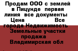 Продам ООО с землей в Пицунде, первая линия, все документы › Цена ­ 9 000 000 - Все города Недвижимость » Земельные участки продажа   . Владимирская обл.